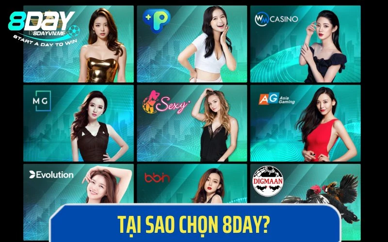 Tại sao mọi người lựa chọn trở thành đại lý 8Day?