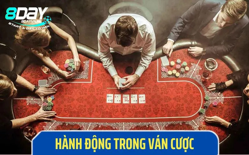 Quy định về hành động cược của Xì tố